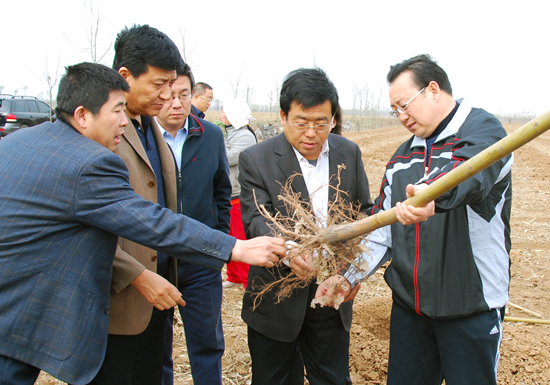 孝义张旭光最新消息全面解读