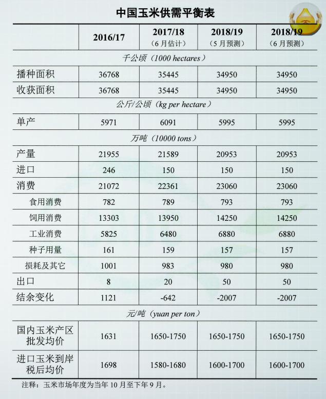 2024年11月21日 第13页