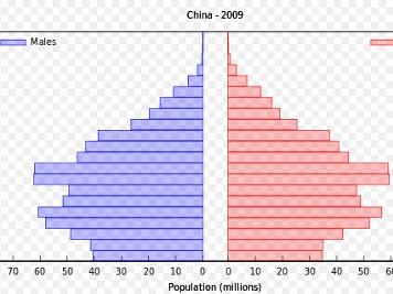 最新中国人口统计揭示大国人口变迁及未来挑战