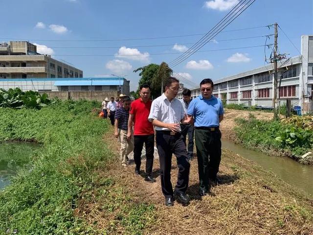 星沙毛塘铺新规划揭秘，城市新地标崛起