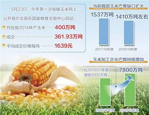 临储玉米最新消息今日更新