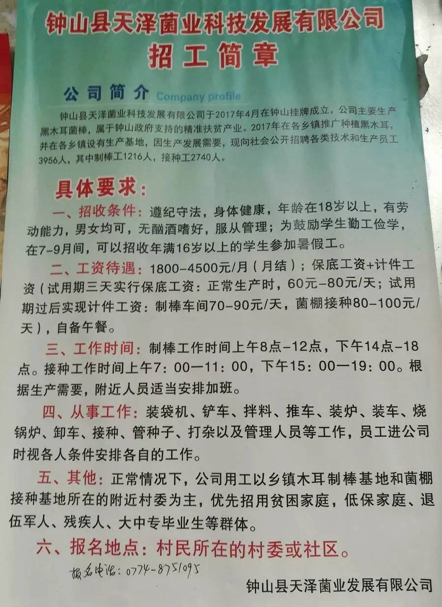 容里天富来最新招聘启事，职位空缺与职业发展机会