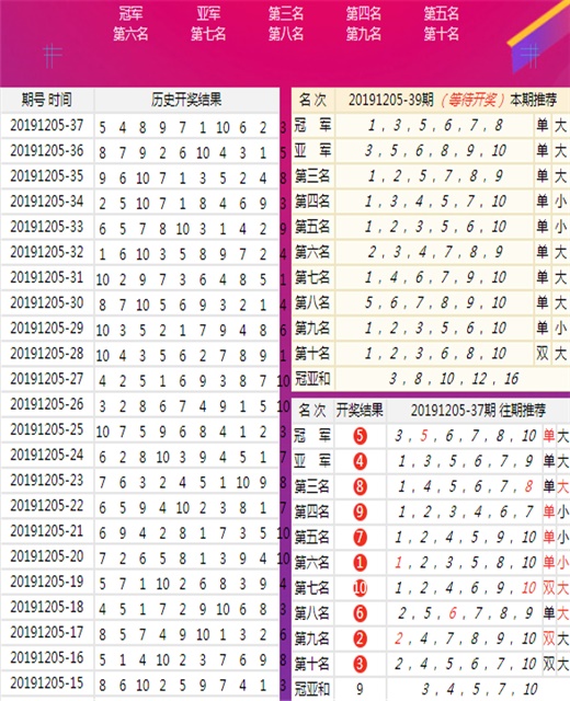 澳门王中王六码新澳门,全面应用分析数据_NE版13.239