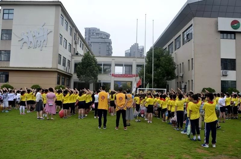 阳明区小学最新动态报道