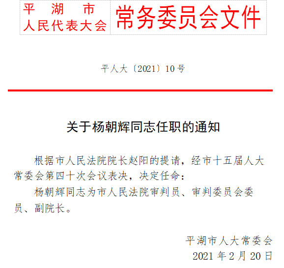 飞云公司人事大调整，引领未来，蓄势待发的新领导团队