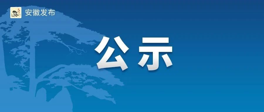 合肥市组织部最新公示，深化人才队伍建设，助力城市高质量发展新篇章